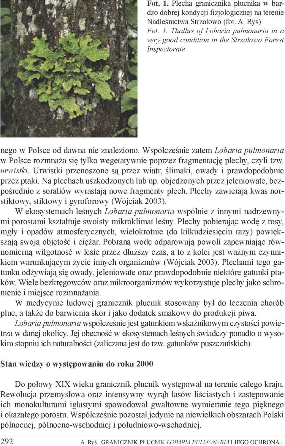 Urwistki przenoszone są przez wiatr, ślimaki, owady i prawdopodobnie przez ptaki. Na plechach uszkodzonych lub np.