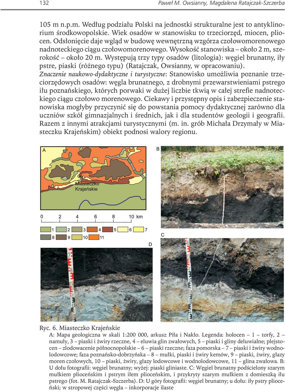 Wysokość stanowiska około 2 m, szerokość około 20 m. Występują trzy typy osadów (litologia): węgiel brunatny, iły pstre, piaski (różnego typu) (Ratajczak, Owsianny, w opracowaniu).