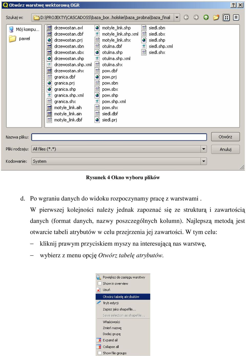 poszczególnych kolumn). Najlepszą metodą jest otwarcie tabeli atrybutów w celu przejrzenia jej zawartości.