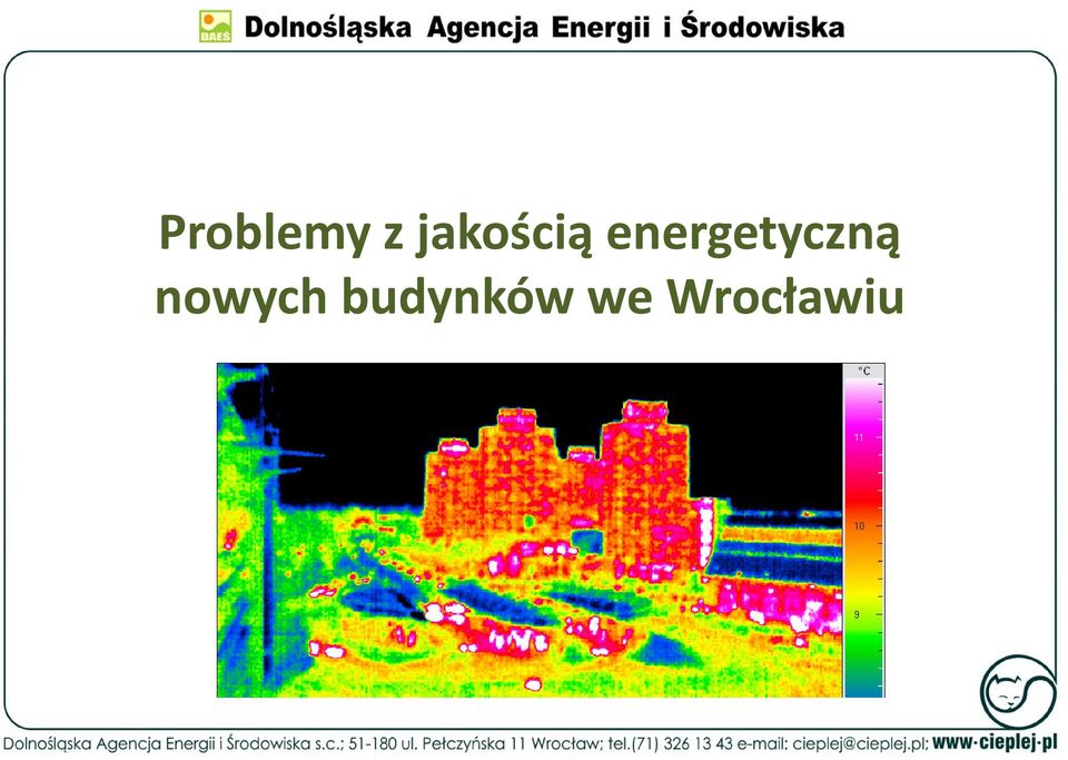 energetyczną