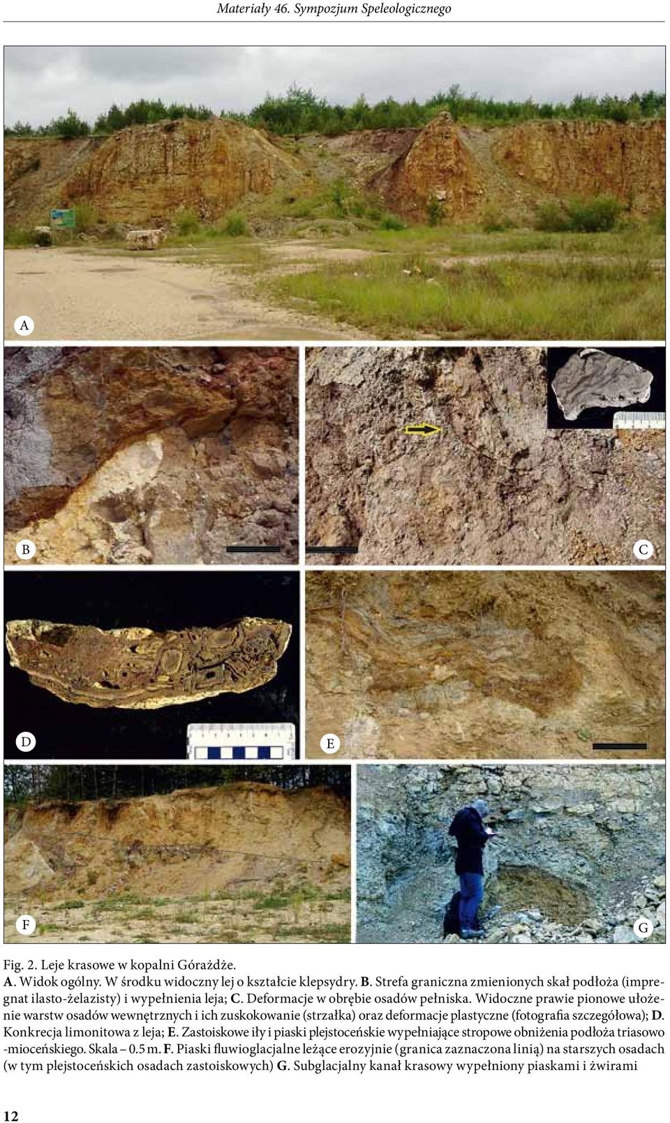Konkrecja limonitowa z leja; E. Zastoiskowe iły i piaski plejstoceńskie wypełniające stropowe obniżenia podłoża triasowo -mioceńskiego. Skala 0.5 m. F.
