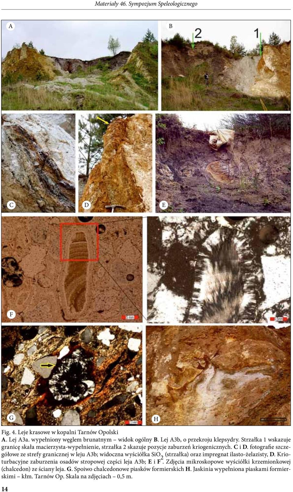 fotografie szczegółowe ze strefy granicznej w leju A3b; widoczna wyściółka SiO 2 (strzałka) oraz impregnat ilasto-żelazisty, D.