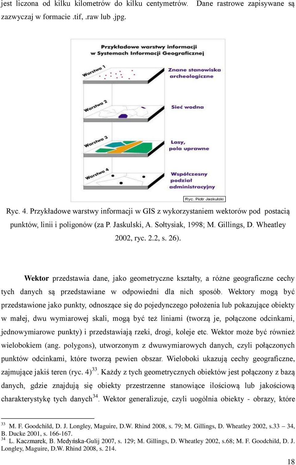 Wektor przedstawia dane, jako geometryczne kształty, a różne geograficzne cechy tych danych są przedstawiane w odpowiedni dla nich sposób.