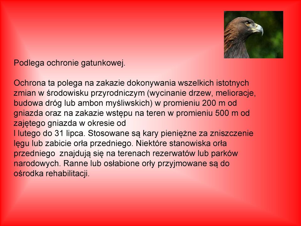 ambon myśliwskich) w promieniu 200 m od gniazda oraz na zakazie wstępu na teren w promieniu 500 m od zajętego gniazda w okresie od l lutego