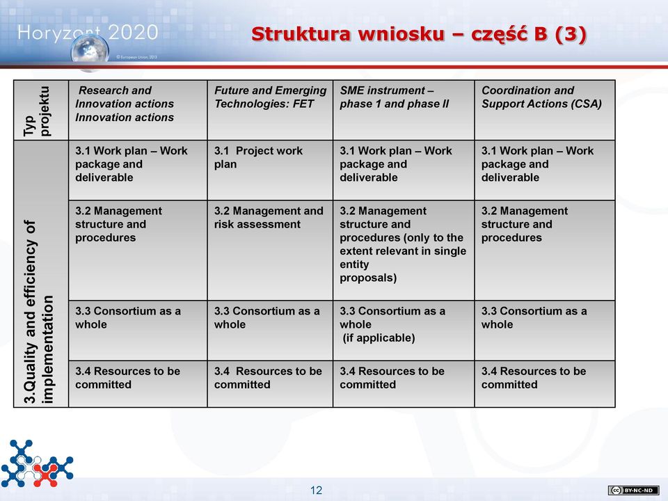 2 Management and risk assessment 3.2 Management structure and procedures (only to the extent relevant in single entity proposals) 3.2 Management structure and procedures 3.3 Consortium as a whole 3.