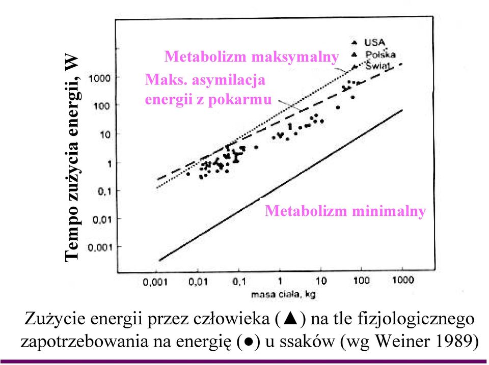 Zużycie energii przez człowieka ( ) na tle