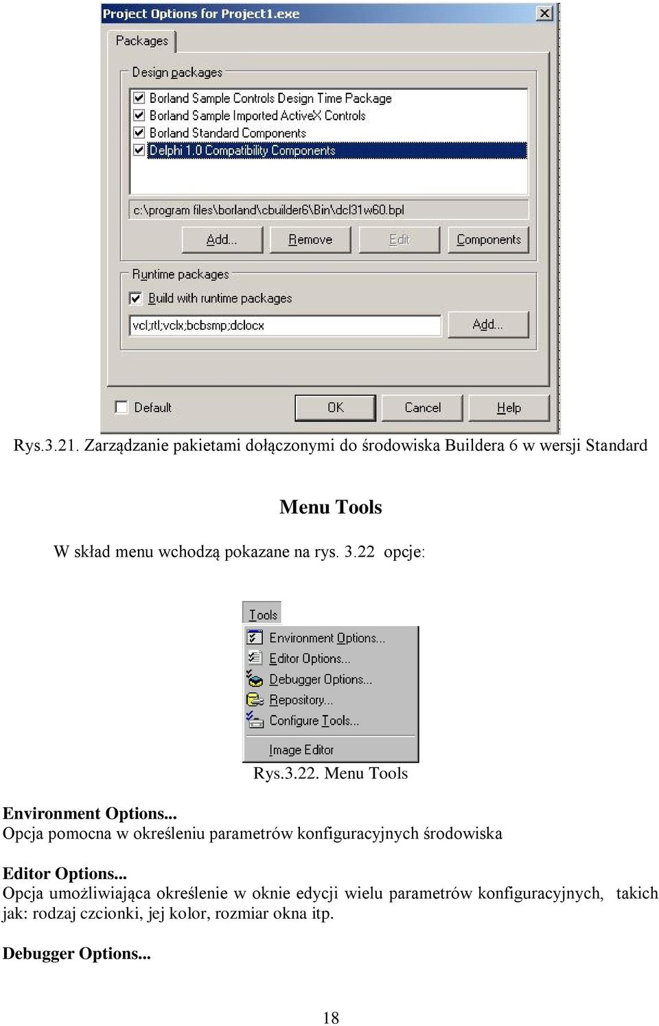 pokazane na rys. 3.22 opcje: Rys.3.22. Menu Tools Environment Options.