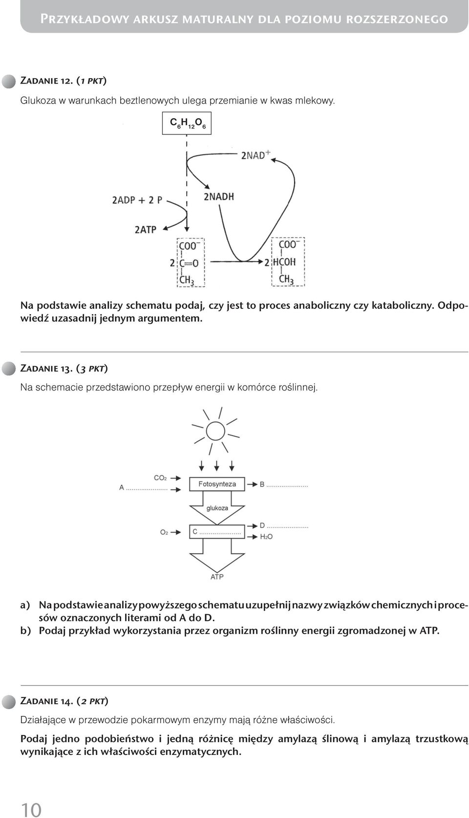 a) Na podstawie analizy powyższego schematu uzupełnij nazwy związków chemicznych i procesów oznaczonych literami od A do D.