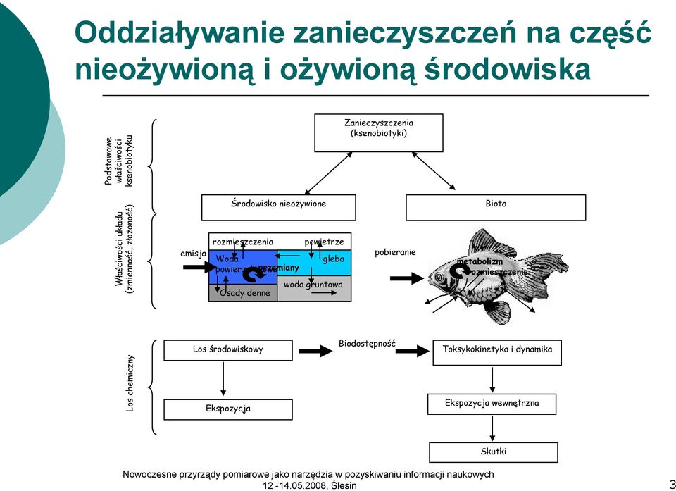 powierzchniowa przemiany powietrze gleba woda gruntowa Osady denne pobieranie Biota metabolizm rozmieszczenie Los