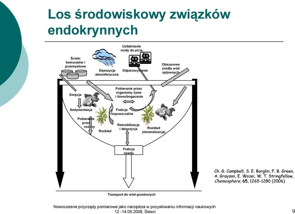 rośliny Rozkład Frakcja rozpuszczalna Remobilizacja i depozycja Rozkład (mineralizacja) Frakcja osadu Ch. G. Campbell, S. E.