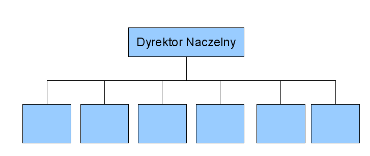 samokontroli. Charakterystyczną cechą płaskiej struktury organizacyjnej jest ograniczona ilość stanowisk kierowniczych lub w ogóle ich brak.