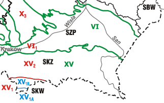 STAN ŚRODOWISKA W POWIECIE JASIELSKIM W 2011 R. 21 podziemnych (JCWPd), stanowiące określoną objętość wód podziemnych występującą w obrębie warstwy wodonośnej lub zespołu warstw wodonośnych.