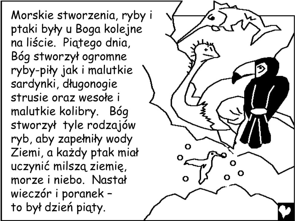 strusie oraz wesołe i malutkie kolibry.