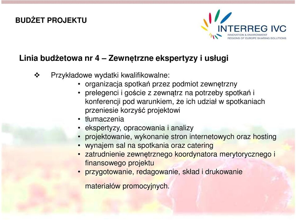 projektowi tłumaczenia ekspertyzy, opracowania i analizy projektowanie, wykonanie stron internetowych oraz hosting wynajem sal na spotkania oraz