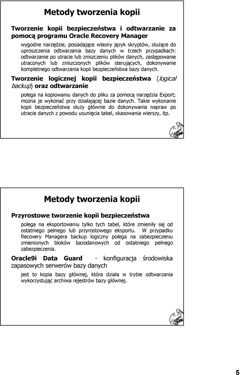 kopii bezpieczeństwa bazy danych.