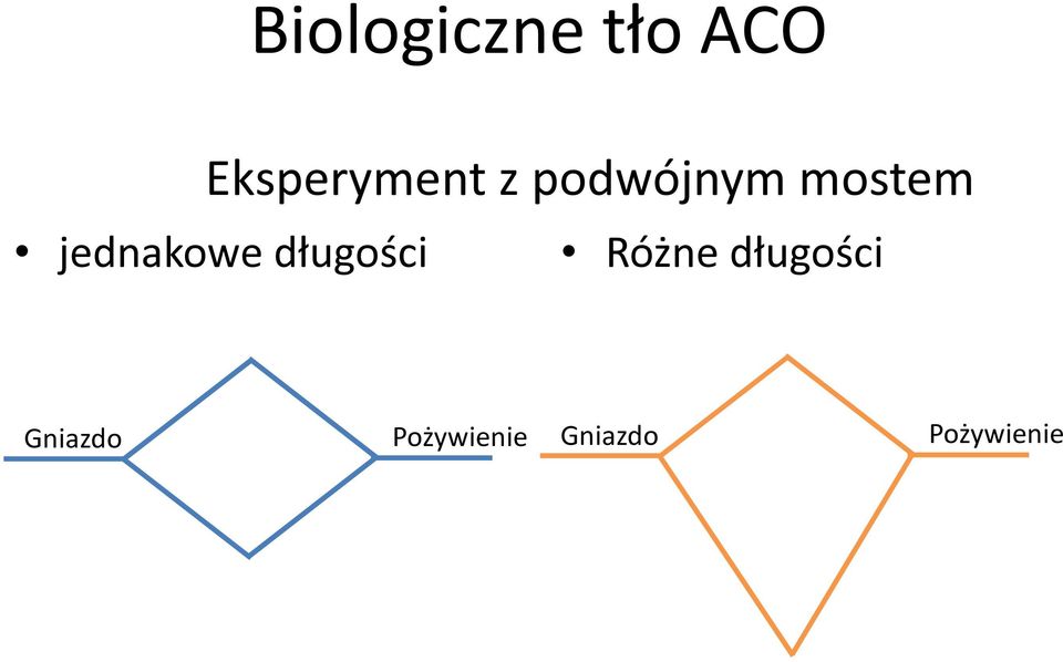 jednakowe długości Różne