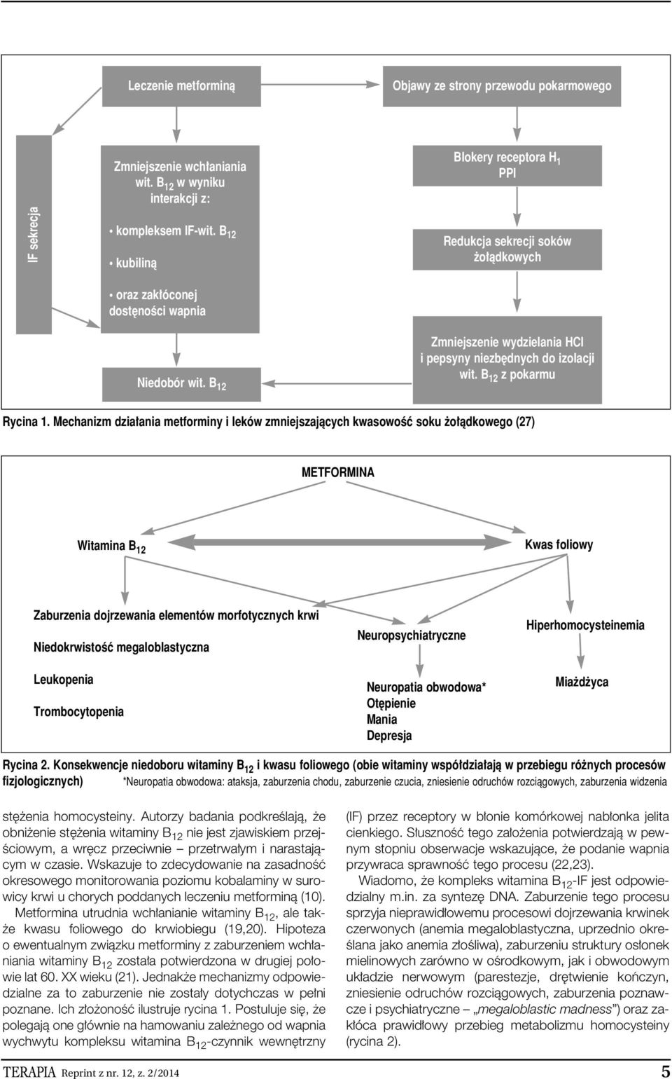B 12 z pokarmu Rycina 1.