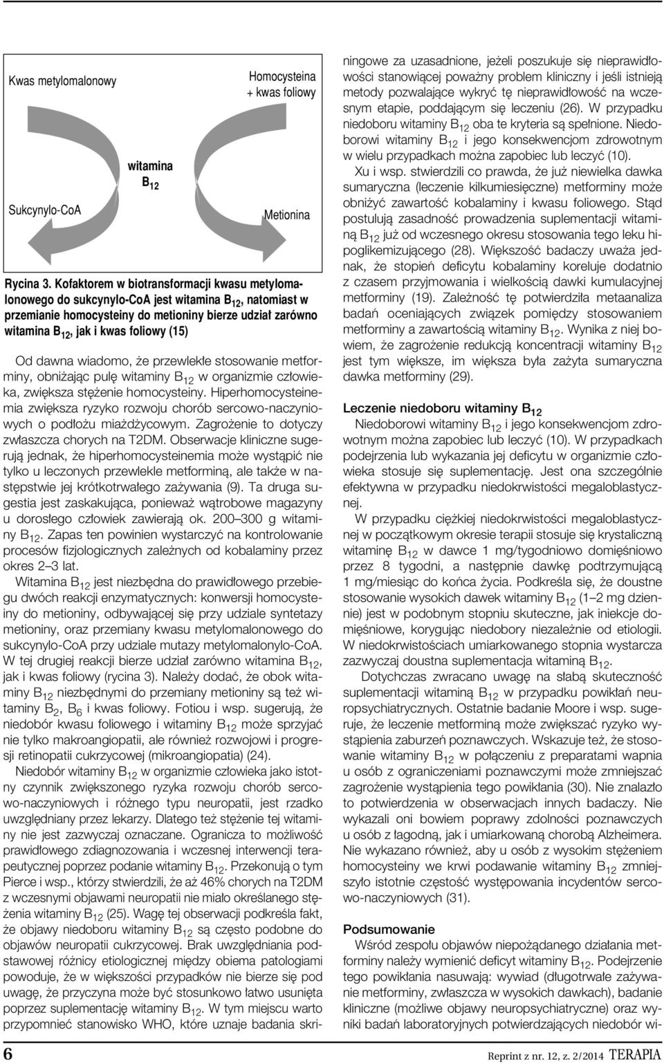 Od dawna wiadomo, e przewlek e stosowanie metforminy, obni ajàc pul witaminy B 12 w organizmie cz owieka, zwi ksza st enie homocysteiny.
