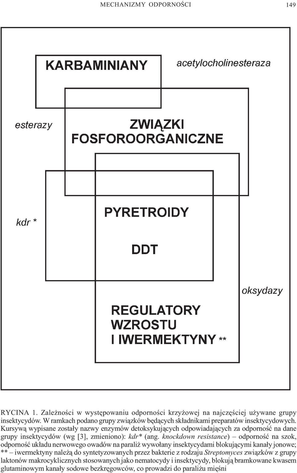 Kursyw¹ wypisane zosta³y nazwy enzymów detoksykuj¹cych odpowiadaj¹cych za odpornoœæ na dane grupy insektycydów (wg [3], zmieniono): kdr* (ang.