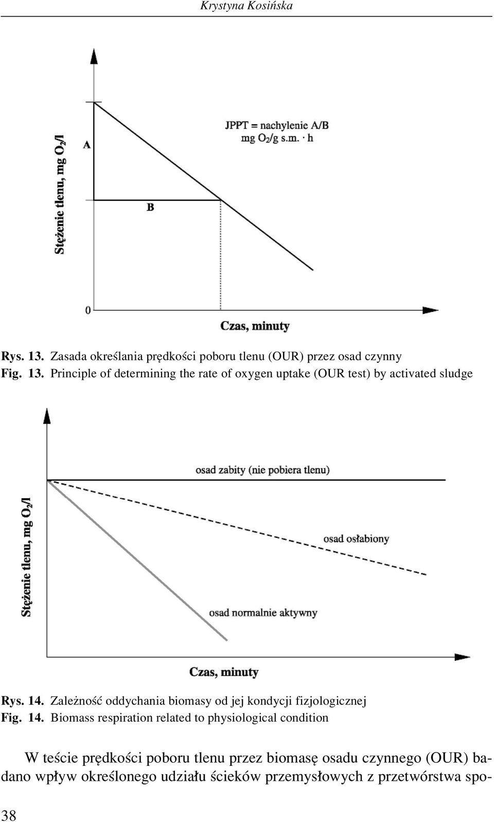 Biomass respiration related to physiological condition W teúcie prídkoúci poboru tlenu przez biomasí osadu