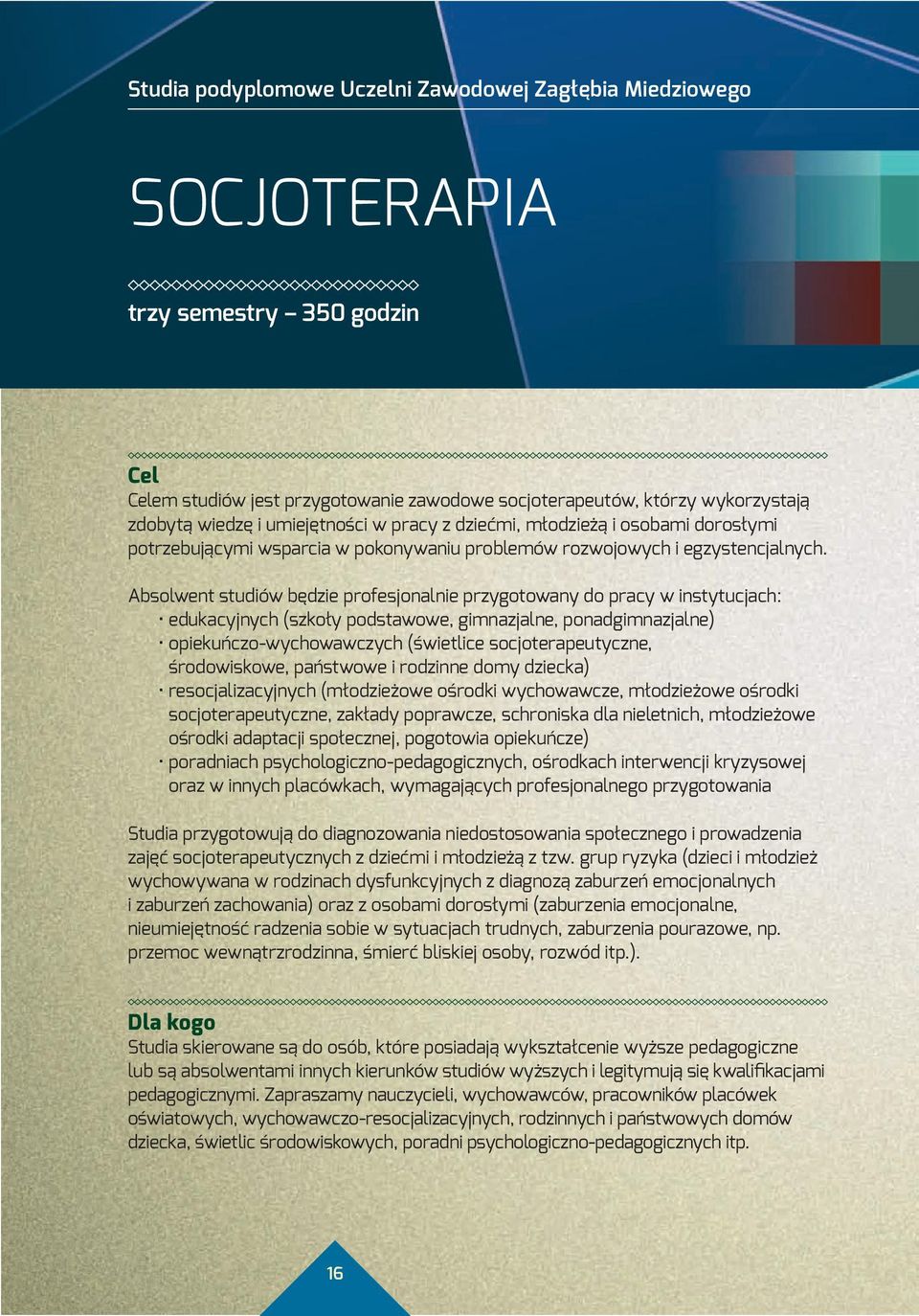 Absolwent studiów będzie profesjonalnie przygotowany do pracy w instytucjach: edukacyjnych (szkoły podstawowe, gimnazjalne, ponadgimnazjalne) opiekuńczo-wychowawczych (świetlice socjoterapeutyczne,