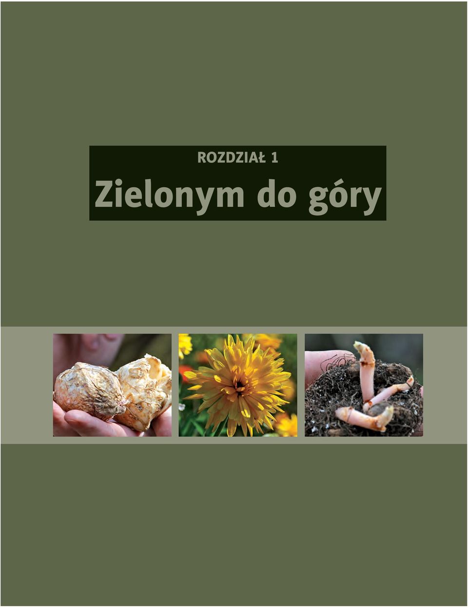 Zielonym