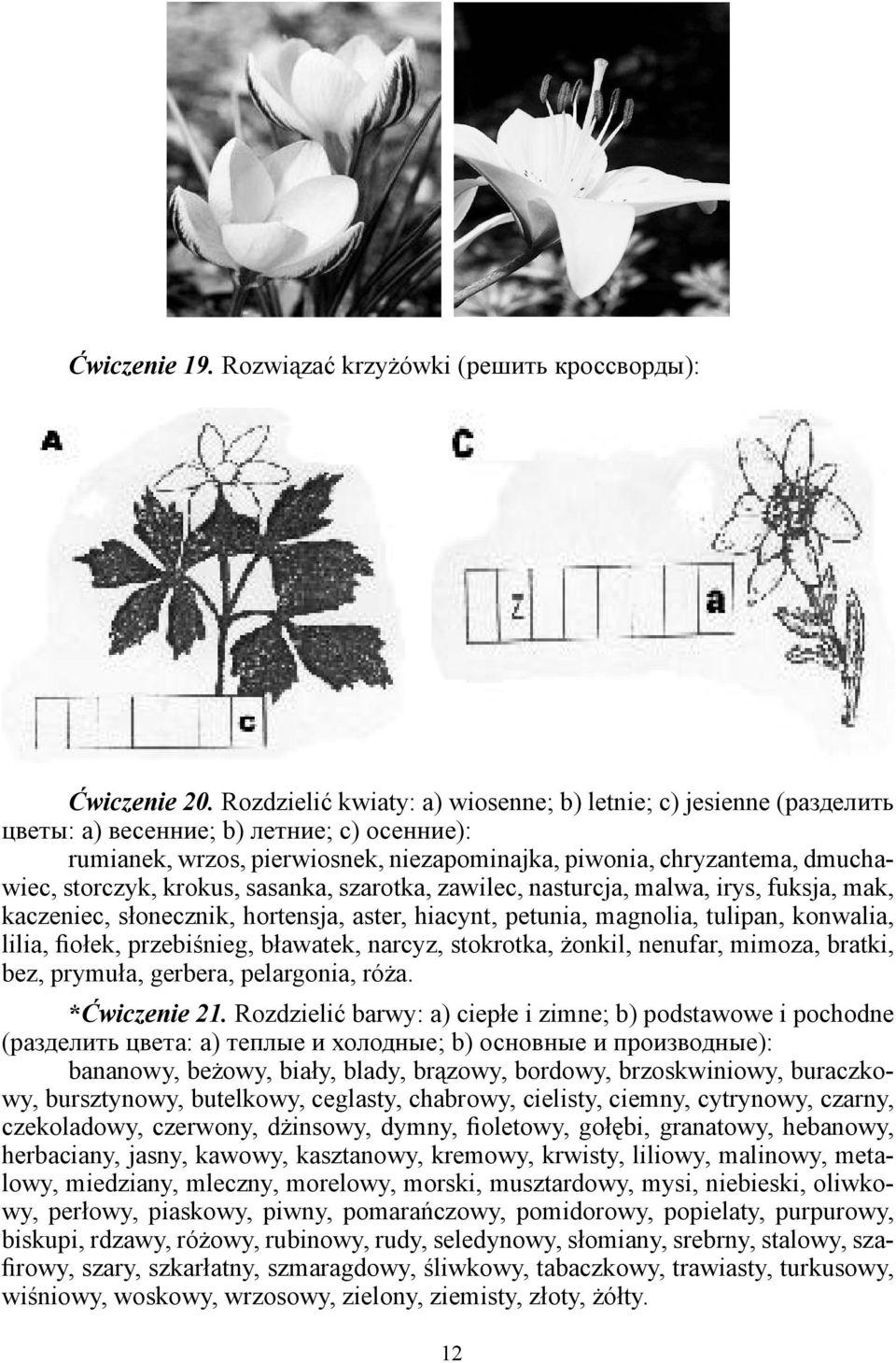 krokus, sasanka, szarotka, zawilec, nasturcja, malwa, irys, fuksja, mak, kaczeniec, słonecznik, hortensja, aster, hiacynt, petunia, magnolia, tulipan, konwalia, lilia, ołek, przebiśnieg, bławatek,