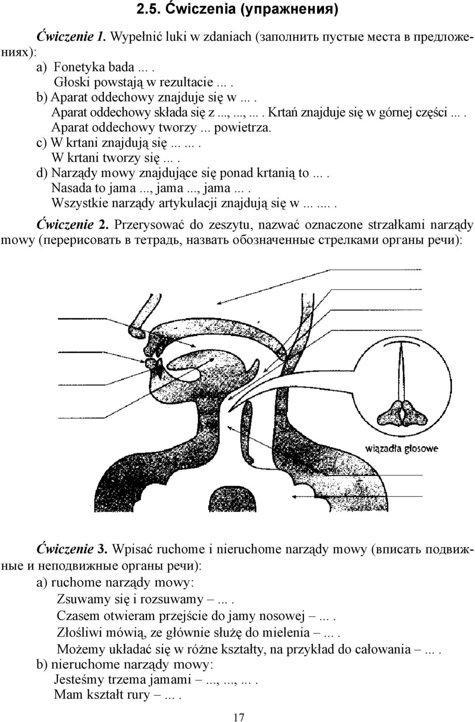 ... d) Narządy mowy znajdujące się ponad krtanią to.... Nasada to jama..., jama..., jama.... Wszystkie narządy artykulacji znajdują się w....... Ćwiczenie 2.