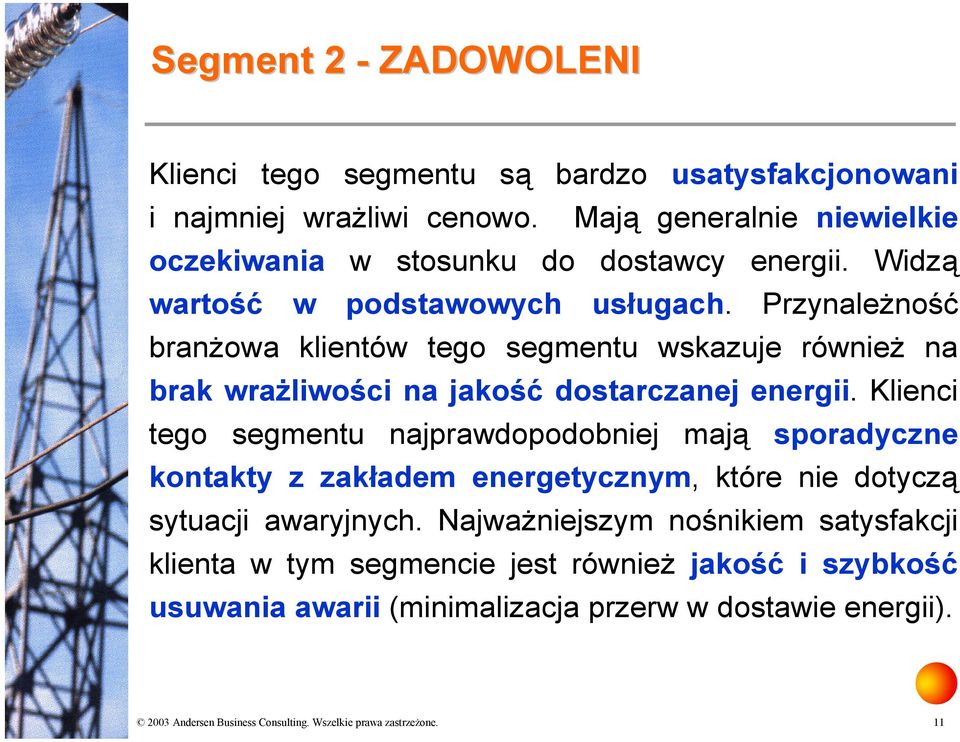 Przynależność branżowa klientów tego segmentu wskazuje również na brak wrażliwości na jakość dostarczanej energii.