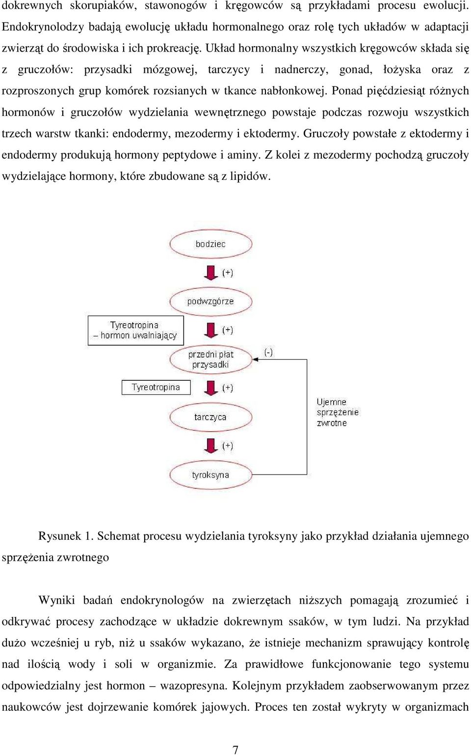 Układ hormonalny wszystkich kręgowców składa się z gruczołów: przysadki mózgowej, tarczycy i nadnerczy, gonad, łoŝyska oraz z rozproszonych grup komórek rozsianych w tkance nabłonkowej.