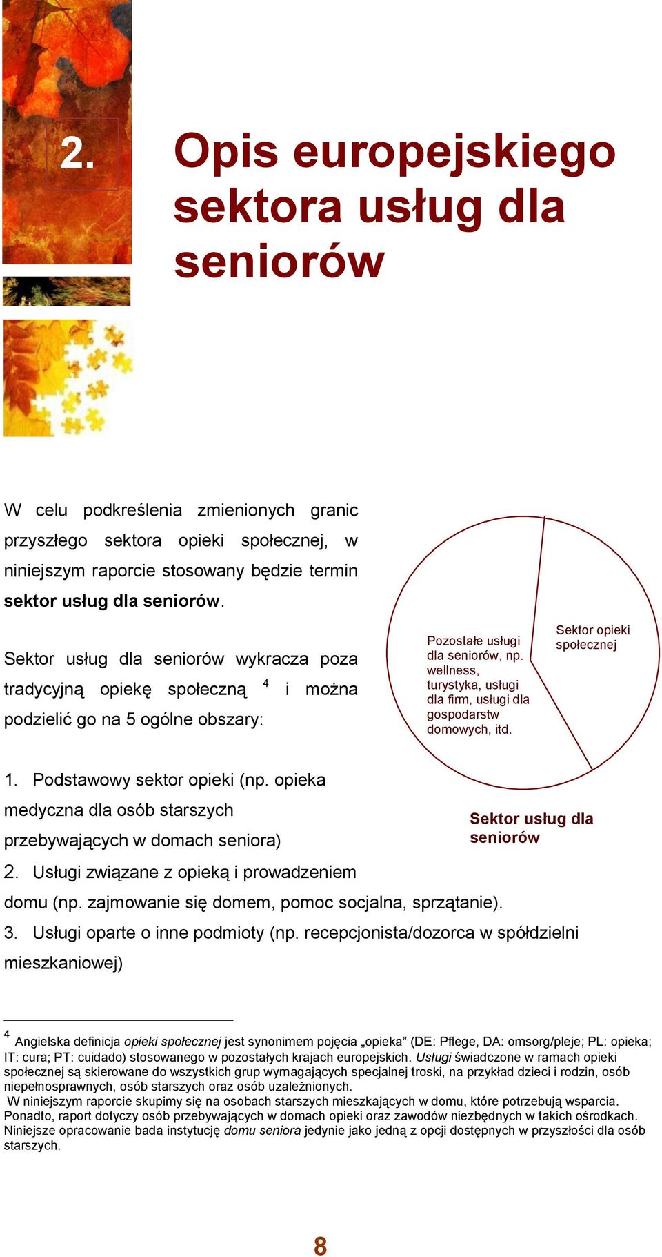 wellness, turystyka, usługi dla firm, usługi dla gospodarstw domowych, itd. Sektor opieki społecznej 1. Podstawowy sektor opieki (np.