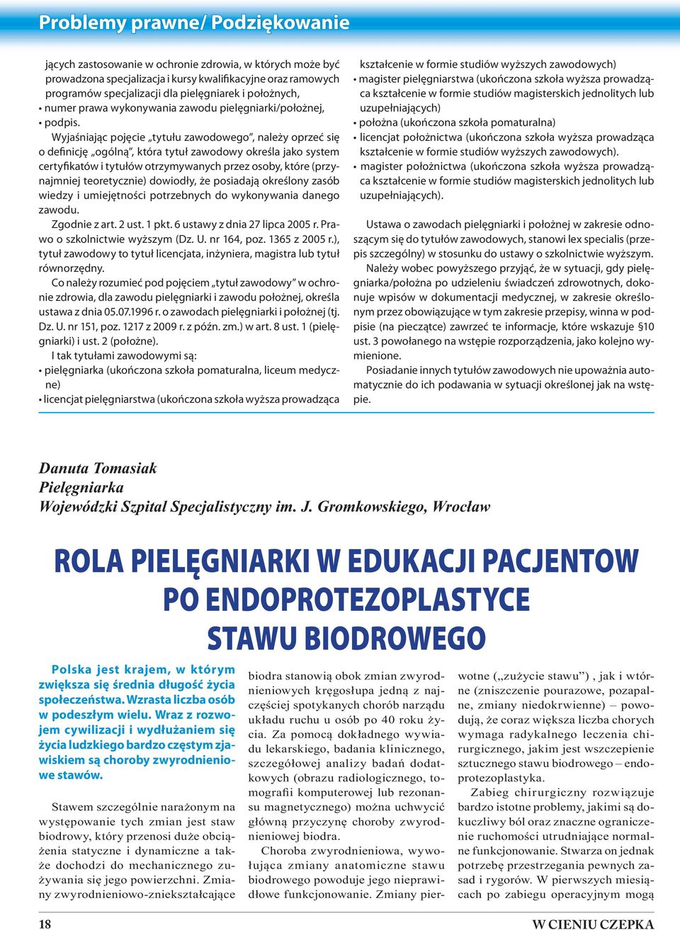 Wyjaśniając pojęcie tytułu zawodowego, należy oprzeć się o definicję ogólną, która tytuł zawodowy określa jako system certyfikatów i tytułów otrzymywanych przez osoby, które (przynajmniej