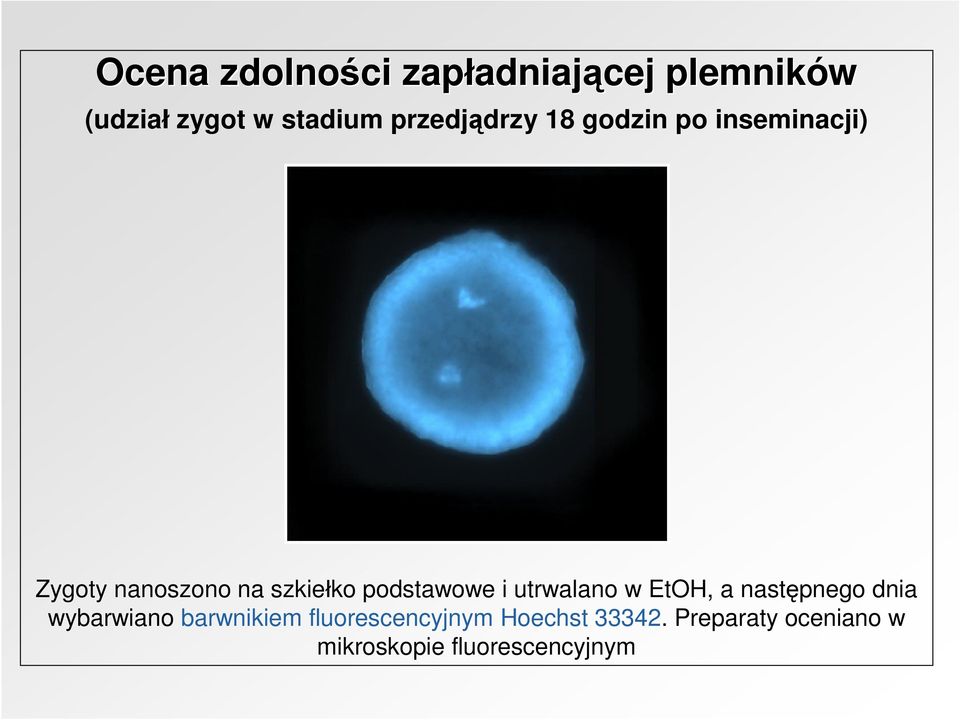 podstawowe i utrwalano w EtOH, a następnego dnia wybarwiano barwnikiem