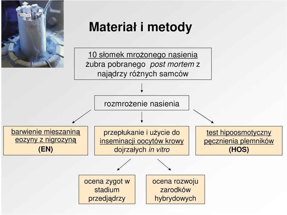 przepłukanie i użycie do inseminacji oocytów krowy dojrzałych in vitro test