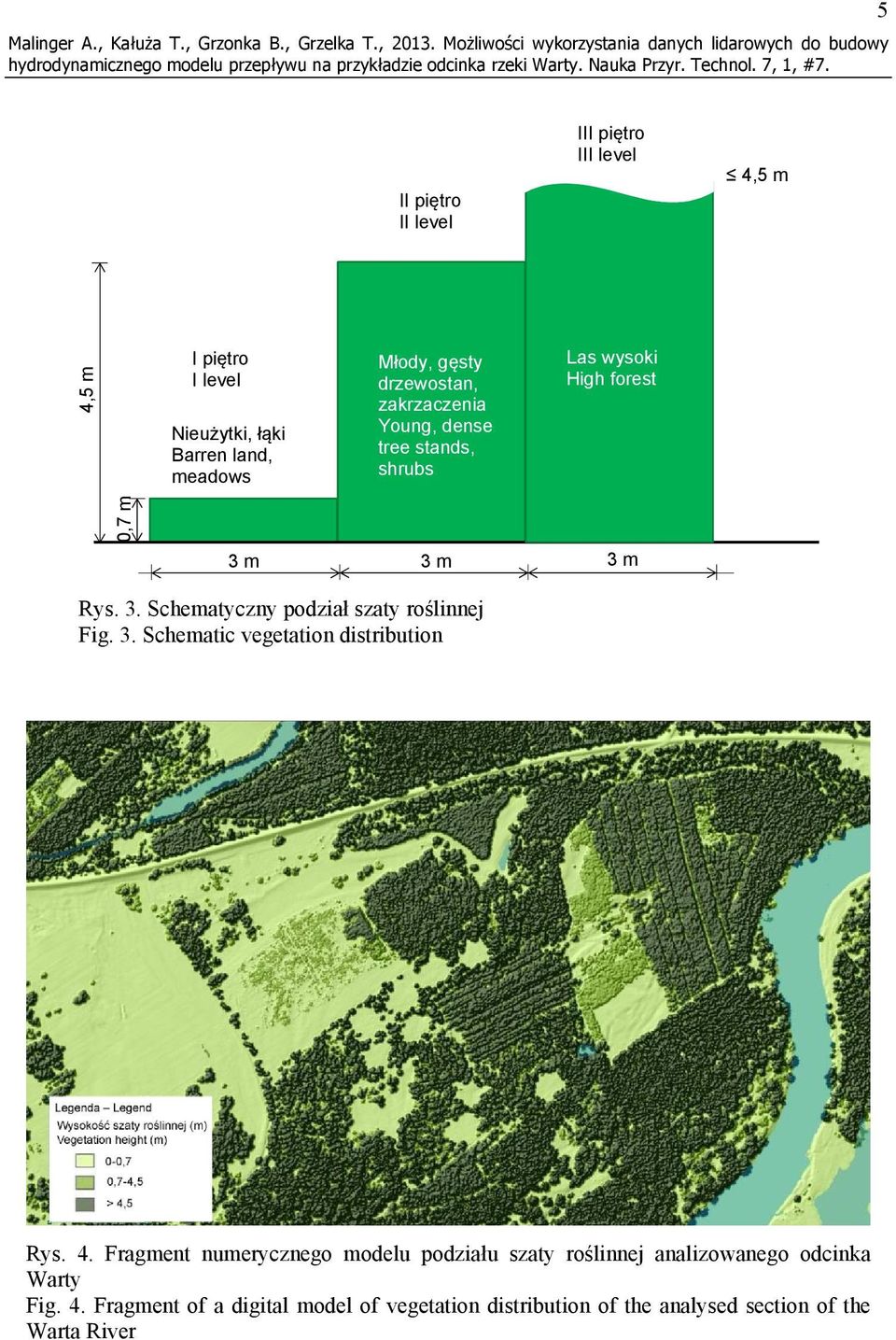meadows Młody, gęsty drzewostan, zakrzaczenia Young, dense tree stands, shrubs Las wysoki High forest 0,7 m 3 m 3 m 3 m Rys. 3. Schematyczny podział szaty roślinnej Fig.