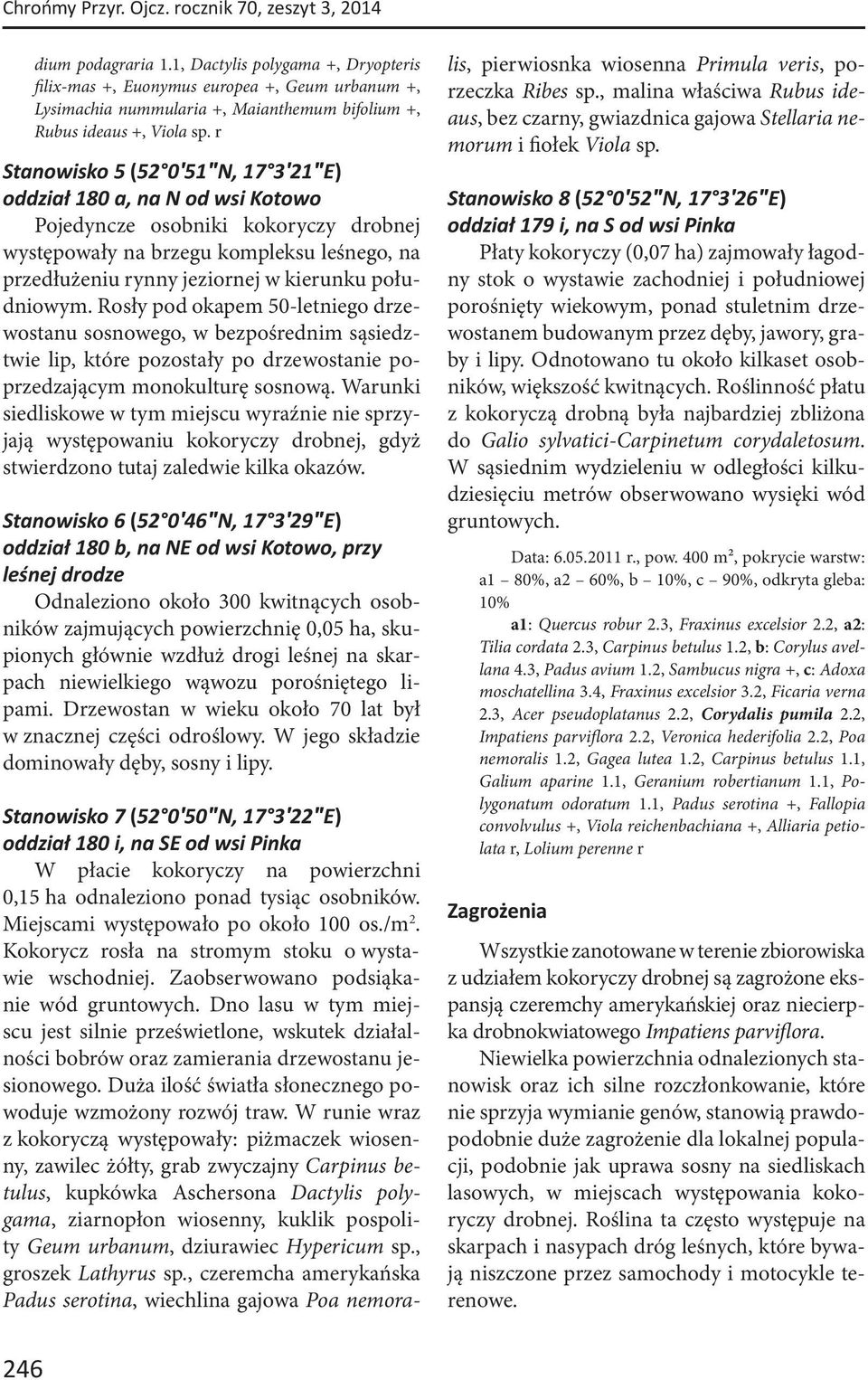 r Stanowisko 5 (52 0 51 N, 17 3 21 E) oddział 180 a, na N od wsi Kotowo Pojedyncze osobniki kokoryczy drobnej występowały na brzegu kompleksu leśnego, na przedłużeniu rynny jeziornej w kierunku