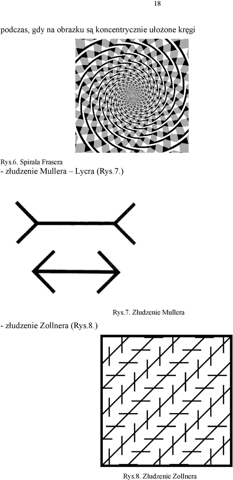 Spirala Frasera - złudzenie Mullera Lycra (Rys.7.