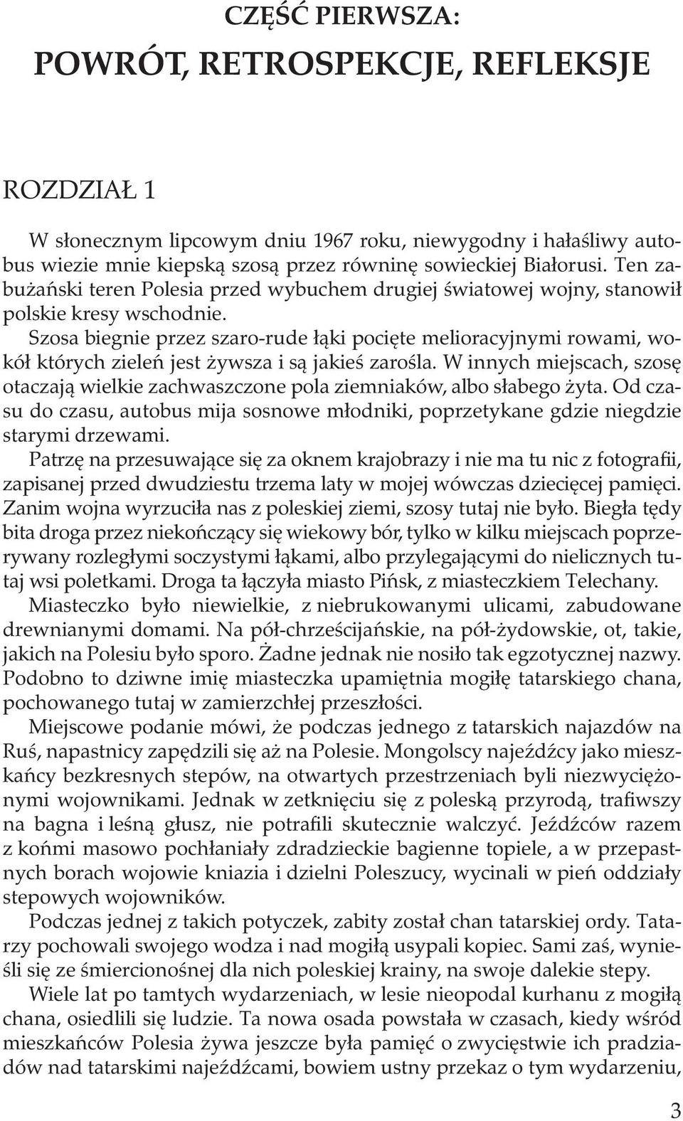 Szosa biegnie przez szaro-rude łąki pocięte melioracyjnymi rowami, wokół których zieleń jest żywsza i są jakieś zarośla.