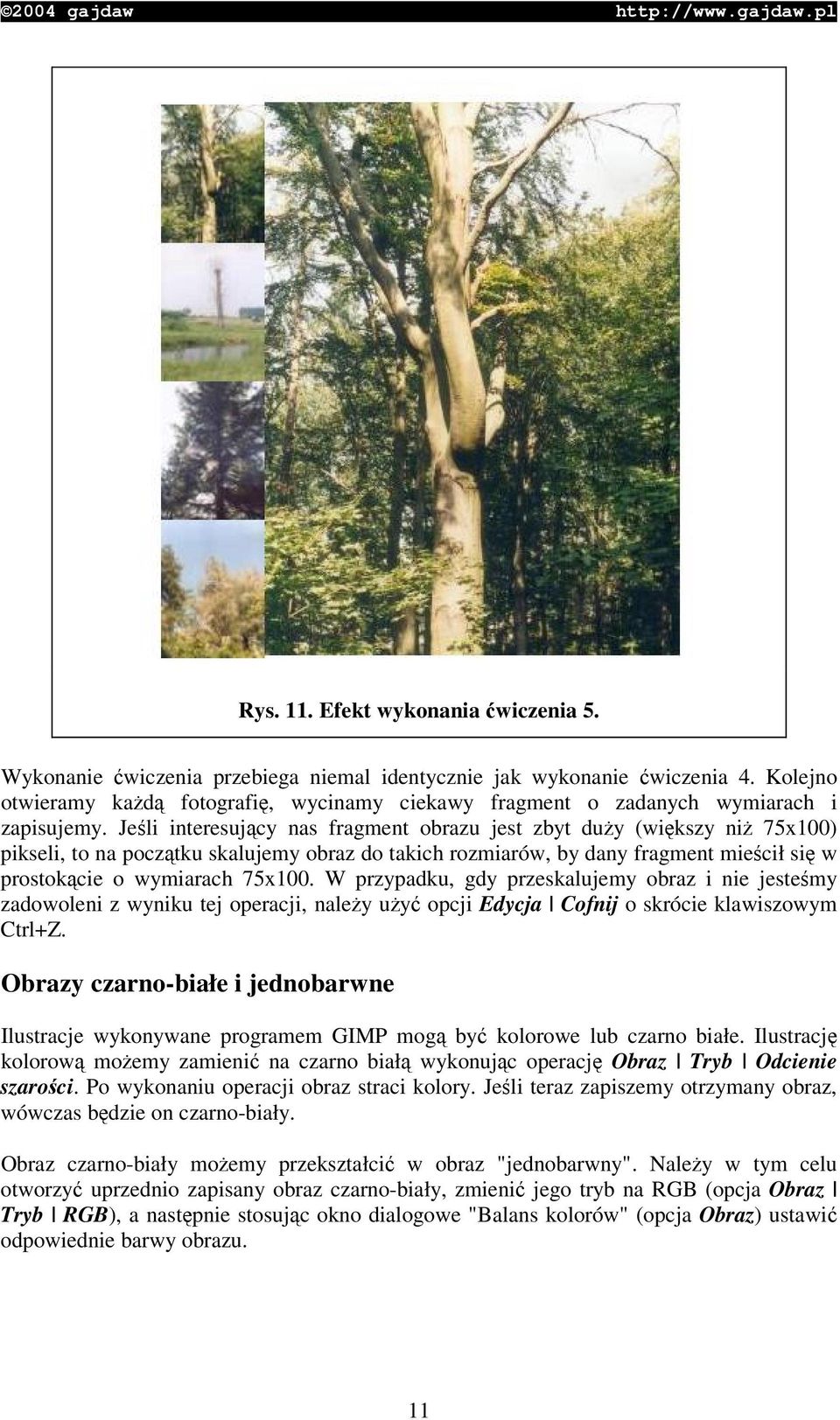 Jeli interesujcy nas fragment obrazu jest zbyt duy (wikszy ni 75x100) pikseli, to na pocztku skalujemy obraz do takich rozmiarów, by dany fragment miecił si w prostokcie o wymiarach 75x100.