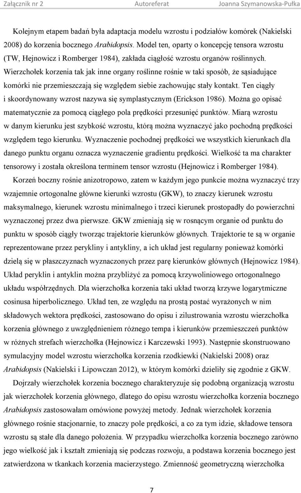 Wierzchołek korzenia tak jak inne organy roślinne rośnie w taki sposób, że sąsiadujące komórki nie przemieszczają się względem siebie zachowując stały kontakt.