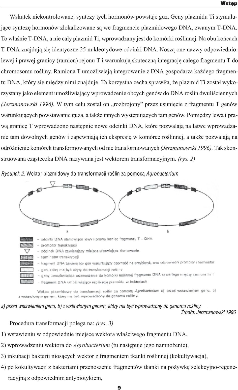 Nosz¹ one nazwy odpowiednio: lewej i prawej granicy (ramion) rejonu T i warunkuj¹ skuteczn¹ integracjê ca³ego fragmentu T do chromosomu roœliny.