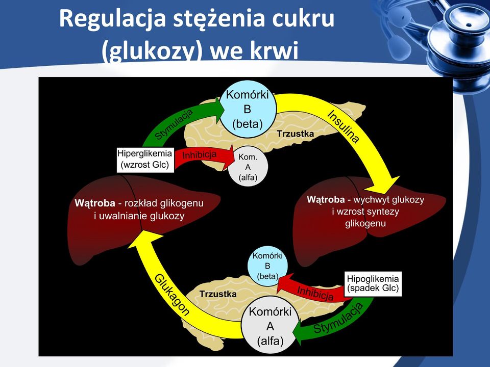 cukru