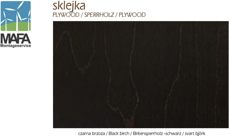 brzoza / Black birch /