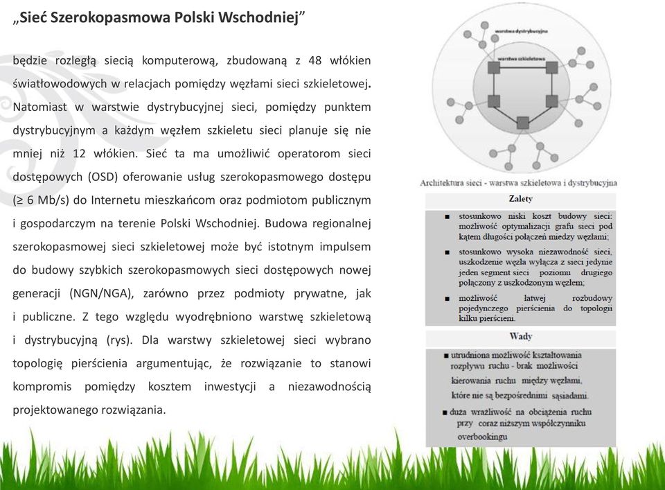 Sieć ta ma umożliwić operatorom sieci dostępowych (OSD) oferowanie usług szerokopasmowego dostępu ( 6 Mb/s) do Internetu mieszkańcom oraz podmiotom publicznym i gospodarczym na terenie Polski