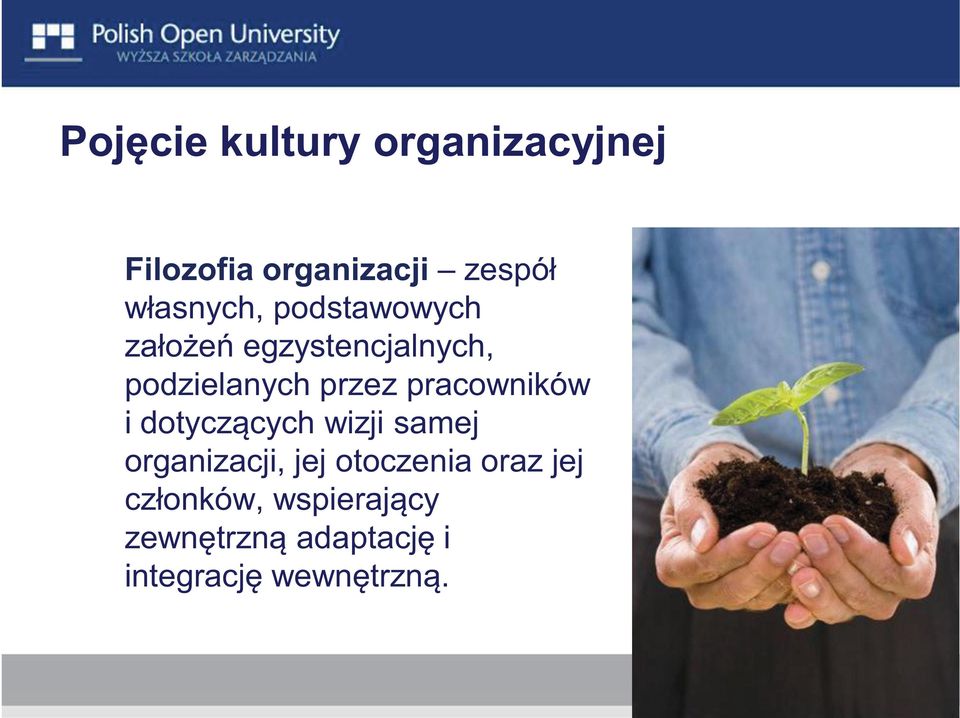 pracowników i dotyczących wizji samej organizacji, jej otoczenia