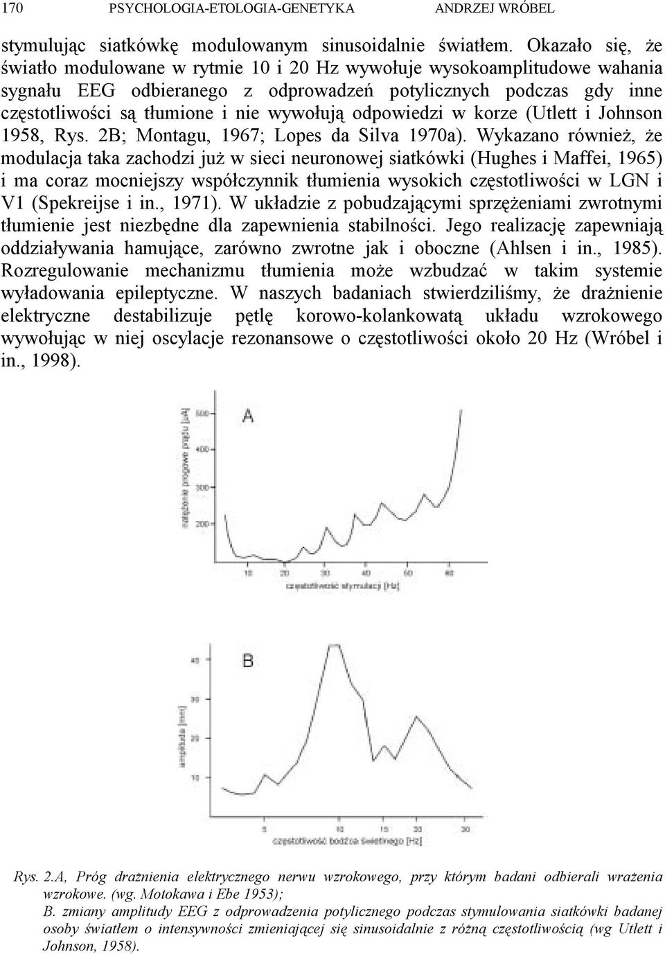 odpowiedzi w korze (Utlett i Johnson 1958, Rys. 2B; Montagu, 1967; Lopes da Silva 1970a).