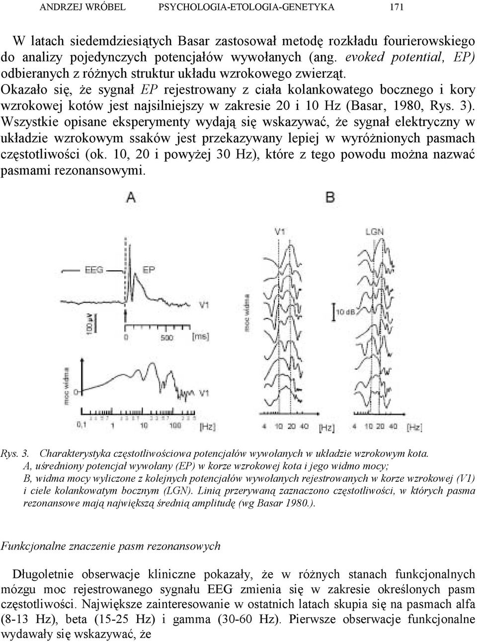 Okazało się, że sygnał EP rejestrowany z ciała kolankowatego bocznego i kory wzrokowej kotów jest najsilniejszy w zakresie 20 i 10 Hz (Basar 1980, Rys. 3).