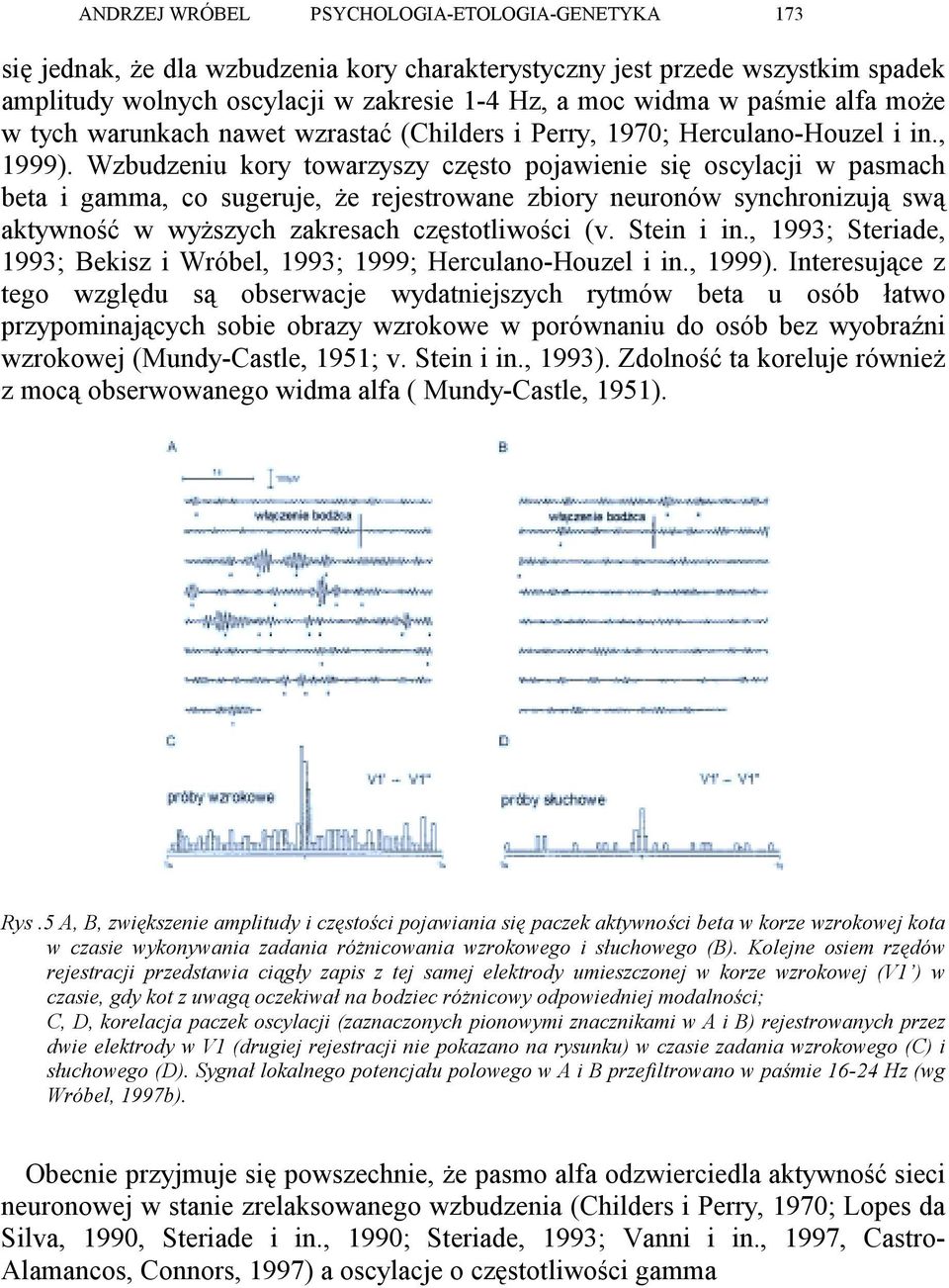 Wzbudzeniu kory towarzyszy często pojawienie się oscylacji w pasmach beta i gamma, co sugeruje, że rejestrowane zbiory neuronów synchronizują swą aktywność w wyższych zakresach częstotliwości (v.