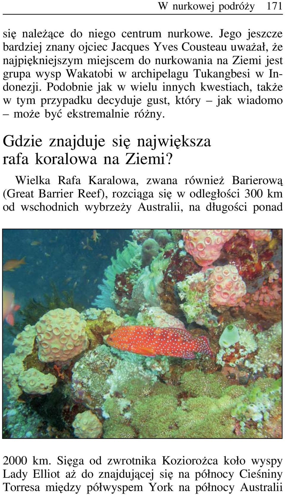 Podobnie jak w wielu innych kwestiach, także w tym przypadku decyduje gust, który jak wiadomo może być ekstremalnie różny. Gdzie znajduje się największa rafa koralowa na Ziemi?