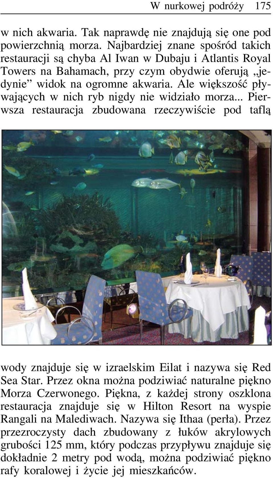 Ale większość pływających w nich ryb nigdy nie widziało morza... Pierwsza restauracja zbudowana rzeczywiście pod taflą wody znajduje się w izraelskim Eilat i nazywa się Red Sea Star.